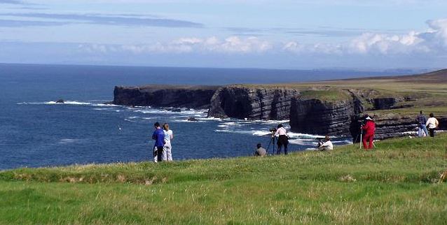 Birdwatching on Loop Head Peninsula
