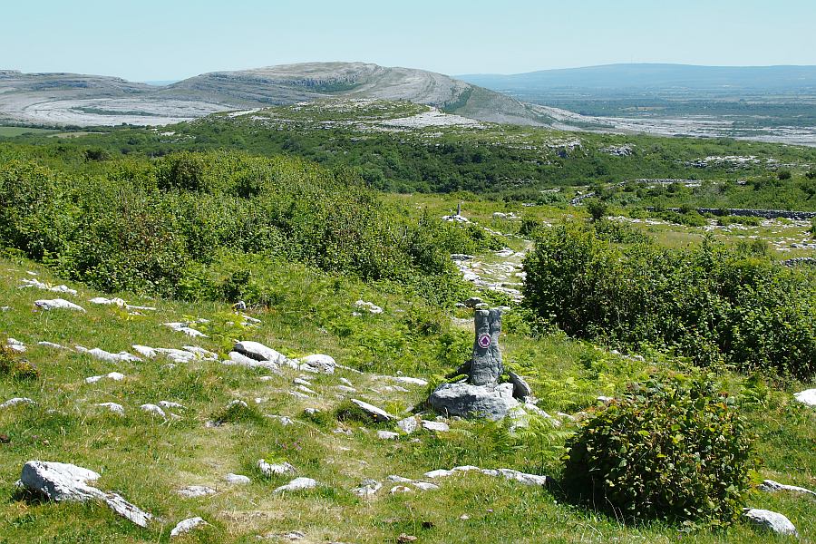 Burren Walks