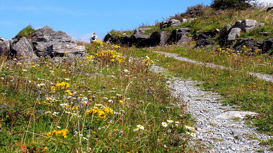 Hiking in the Burren